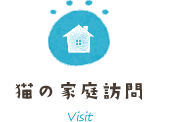 猫の家庭訪問