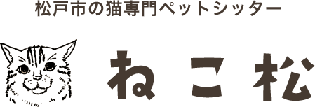 松戸市の猫専門ペットシッター ねこ松
