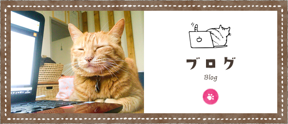 ブログ