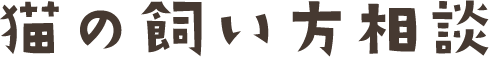 猫の飼い方相談