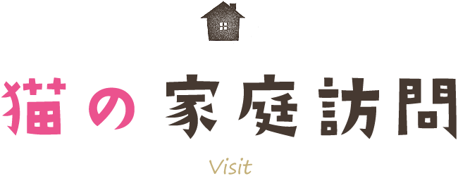 猫の家庭訪問